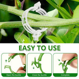 100PCS Plant Support Clips for Tomato Vines Garden Plant Fixing Clips