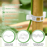 100PCS Plant Support Clips for Tomato Vines Garden Plant Fixing Clips