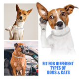 Gold Cuban Link Dog Collar Diamond Luxury Pet Necklace