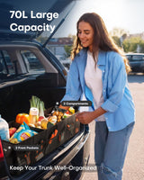 Foldable Car Trunk Organizer SUV Storage Box 2 Compartment Heavy Duty