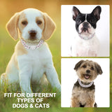 Gold Cuban Link Dog Collar Diamond Luxury Pet Necklace