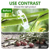 100PCS Plant Support Clips for Tomato Vines Garden Plant Fixing Clips