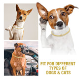 Gold Cuban Link Dog Collar Diamond Luxury Pet Necklace